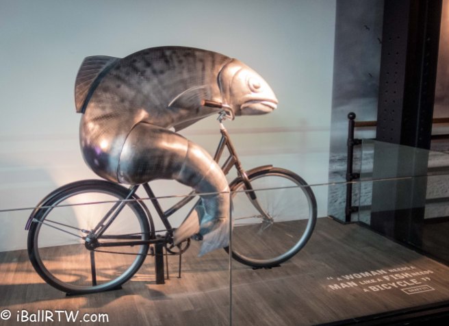 ... like a fish needs a bicycle